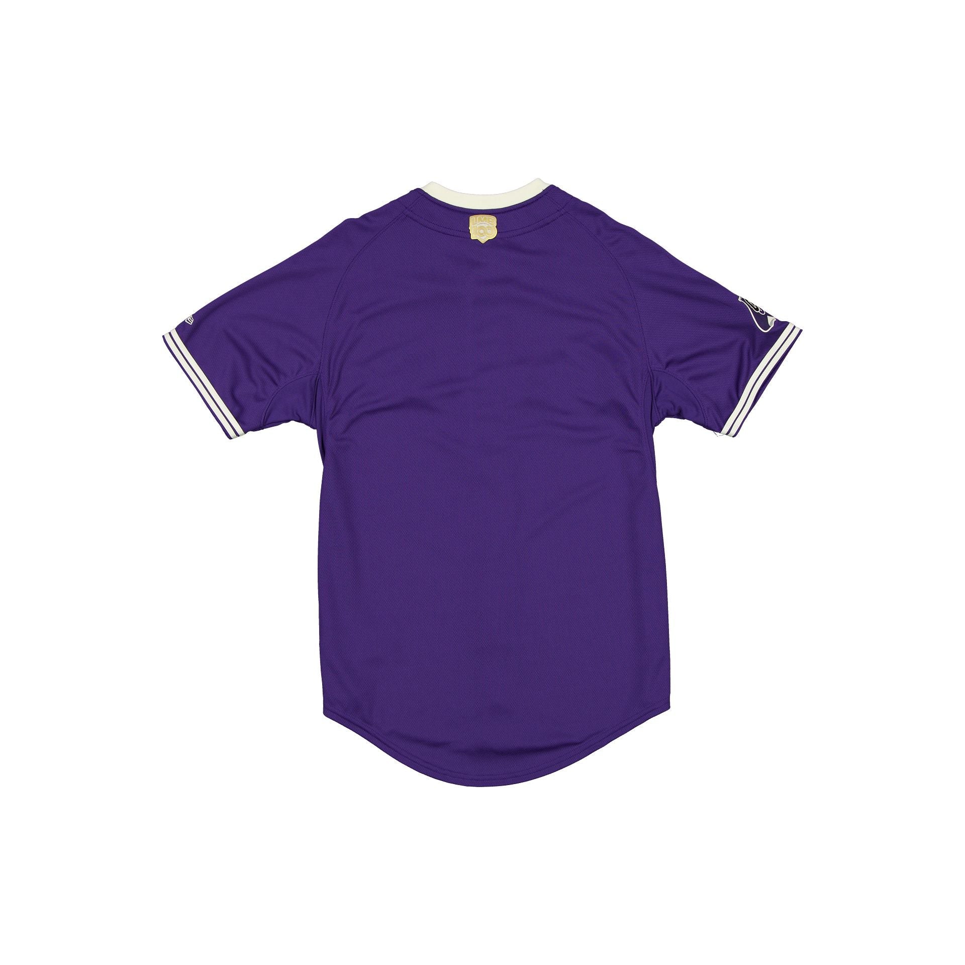 Conspiradores de Querétaro LMB 100th Anniversary Purple Alt Jersey