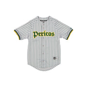 Pericos de Puebla LMB 100th Anniversary Alt Jersey