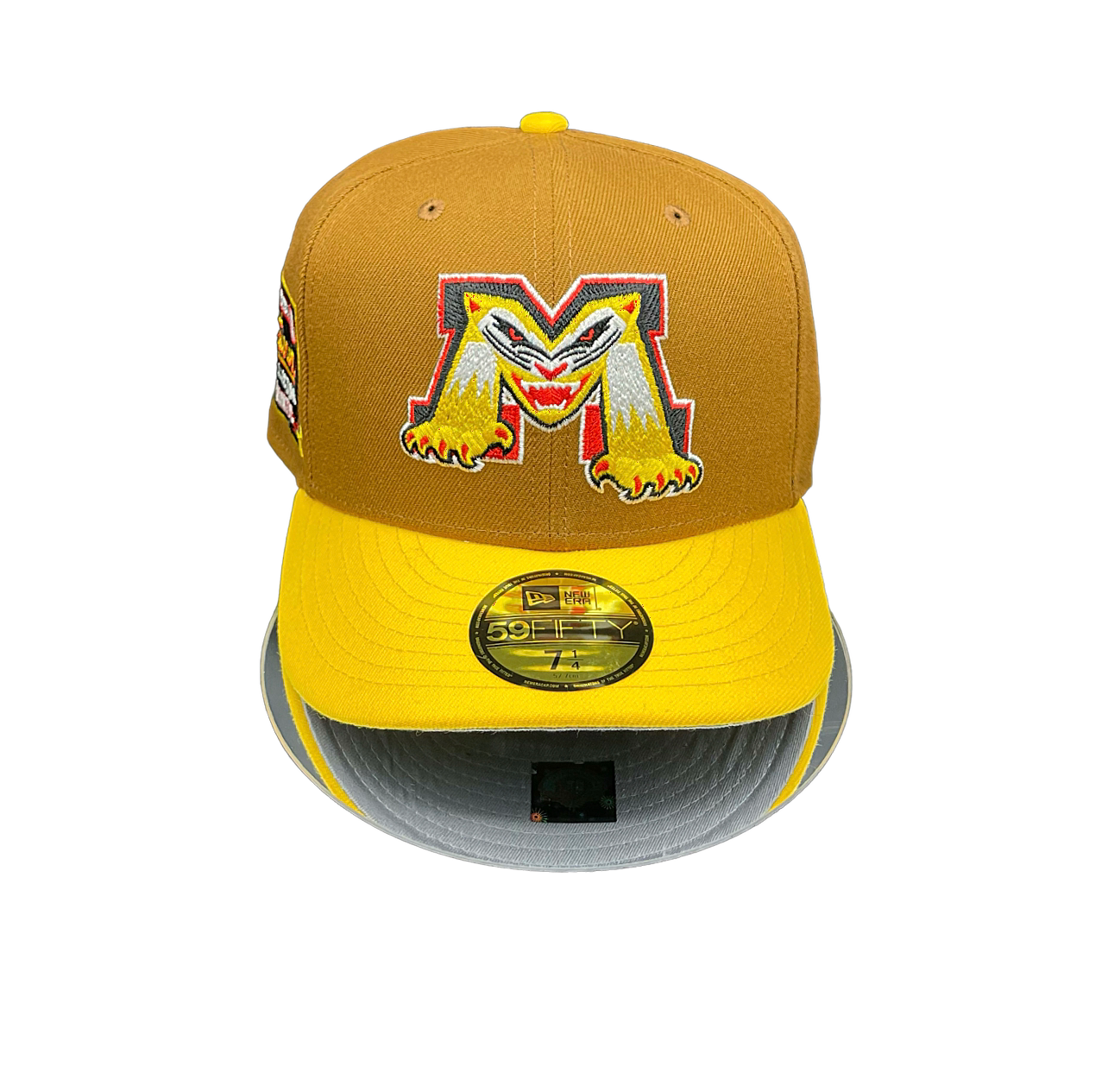 Michigan Battle Cats Brown and AGold Yellow