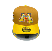 Michigan Battle Cats Brown and AGold Yellow