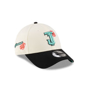 Toros de Tijuana Two-Tone Rose 9FORTY Snapback Hat