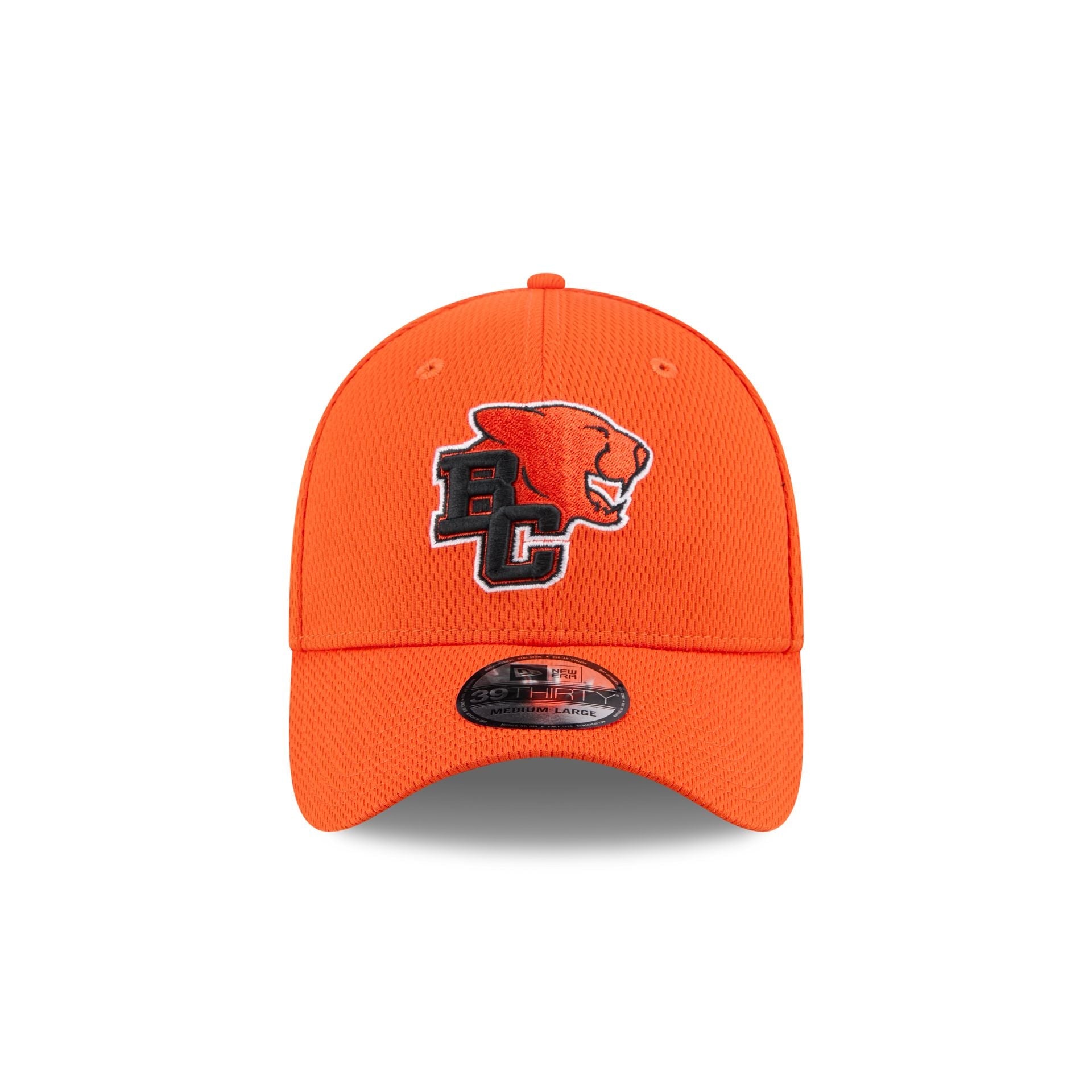 BC Lions Rear Wordmark 39THIRTY Stretch Fit Hat
