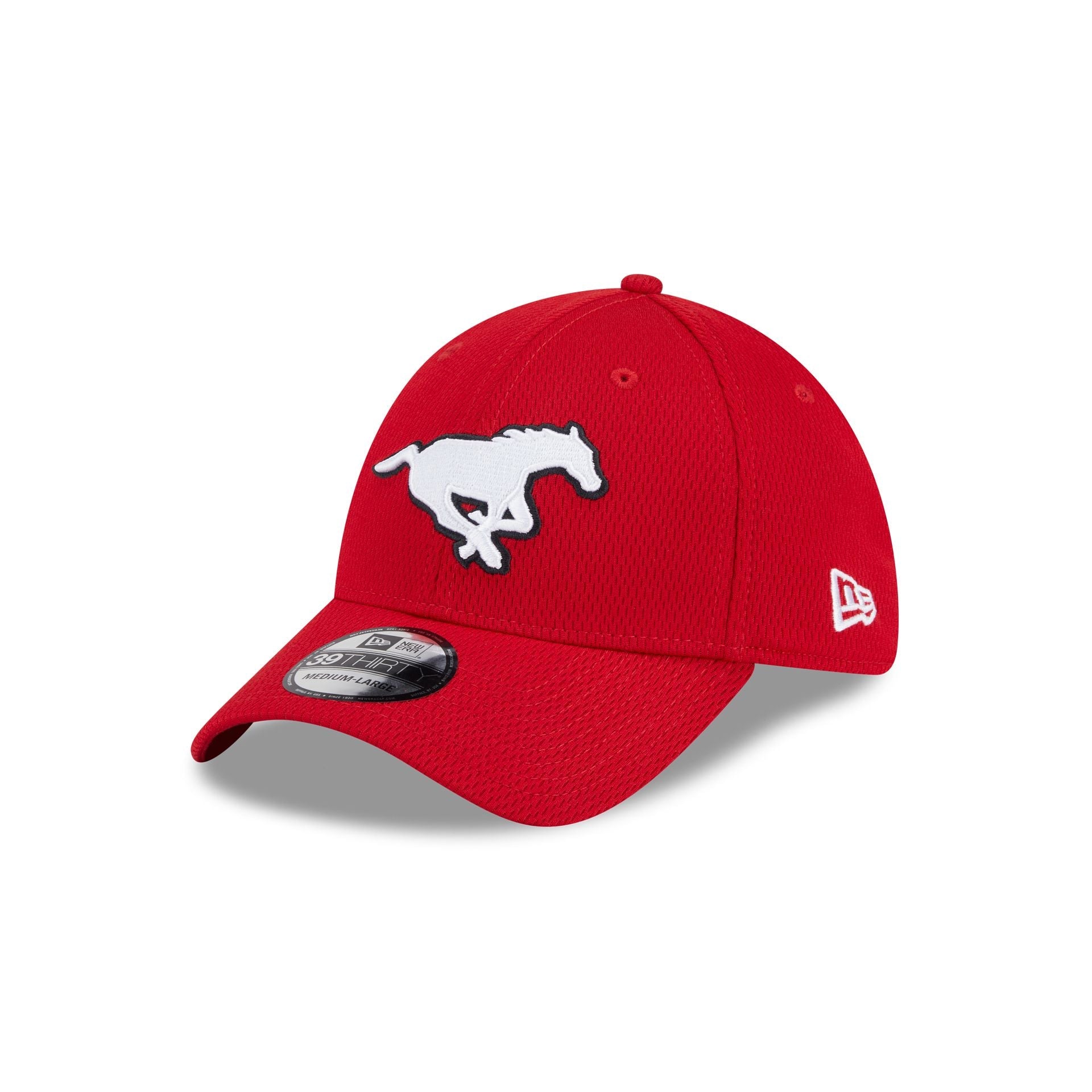 Calgary Stampeders Rear Wordmark 39THIRTY Stretch Fit Hat
