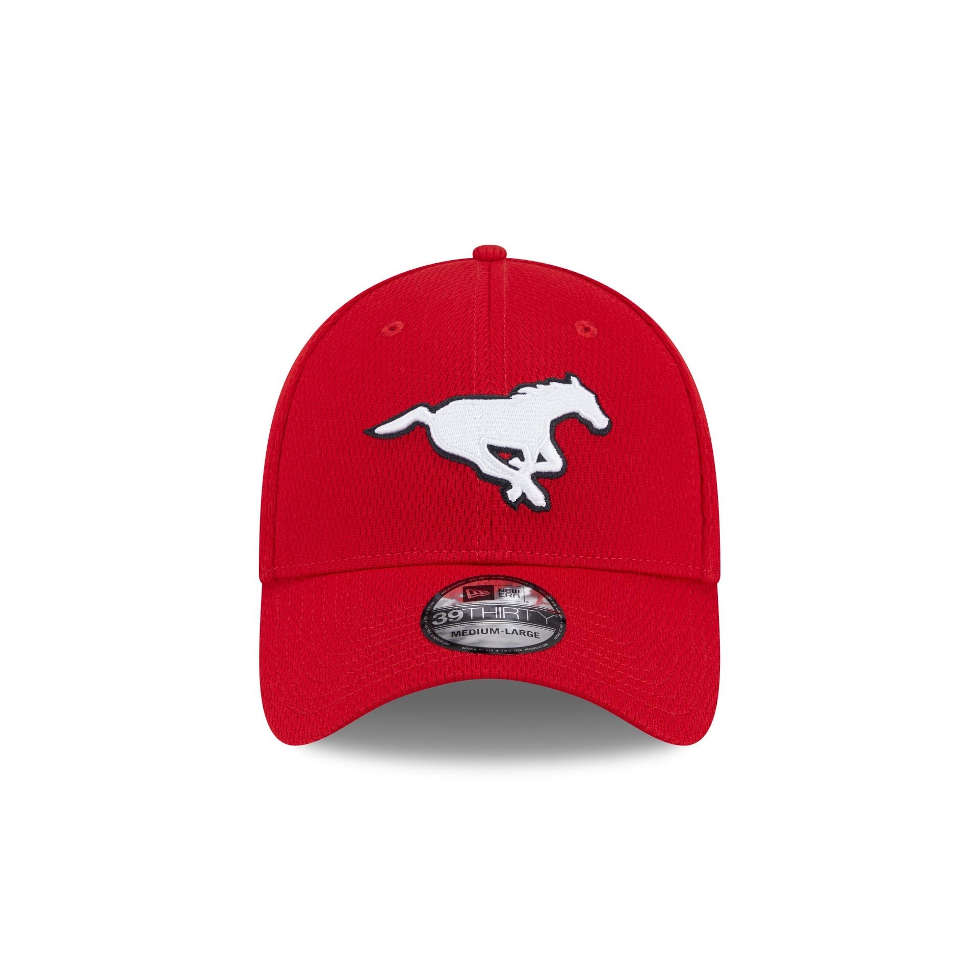 Calgary Stampeders Rear Wordmark 39THIRTY Stretch Fit Hat