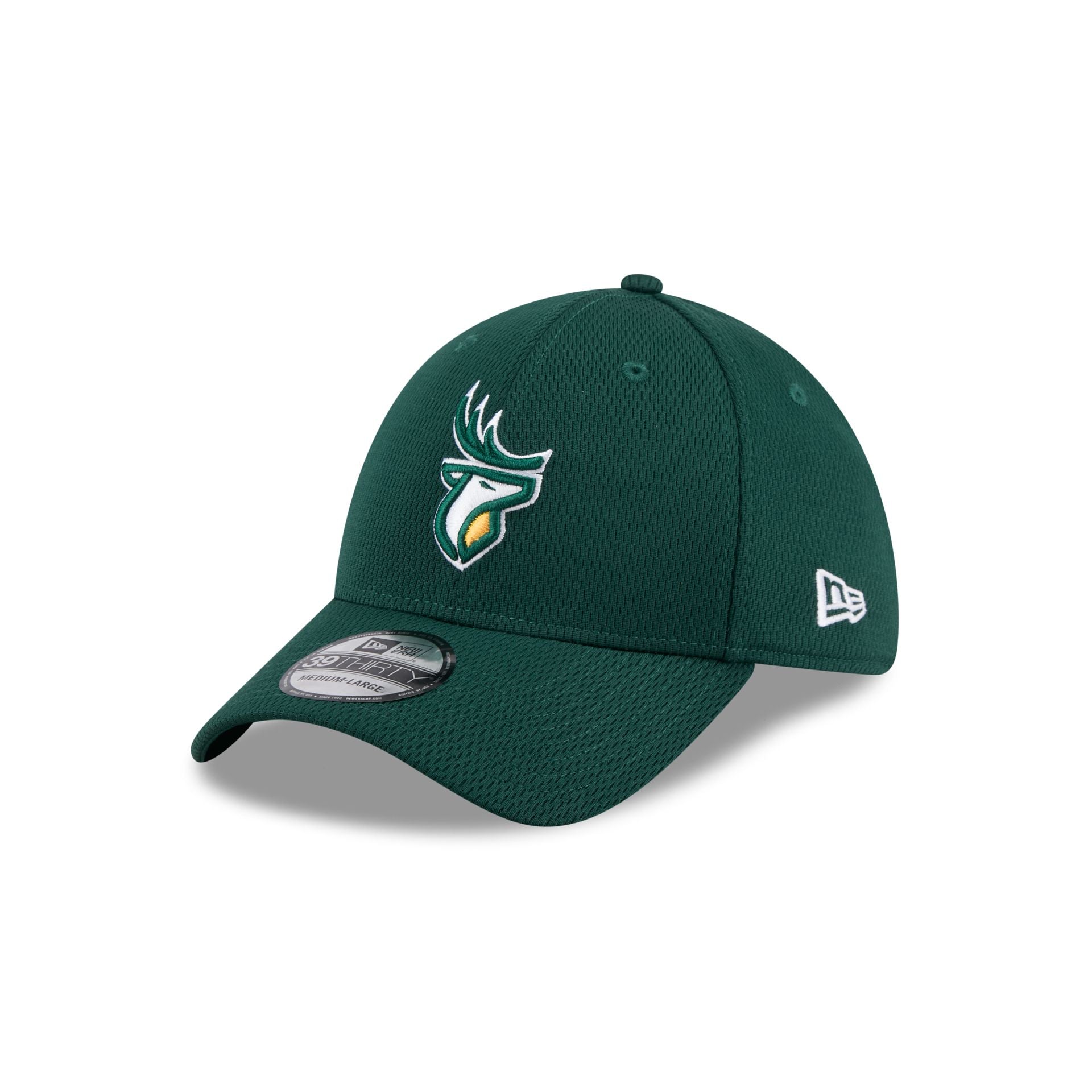 Edmonton Elks Rear Wordmark 39THIRTY Stretch Fit Hat