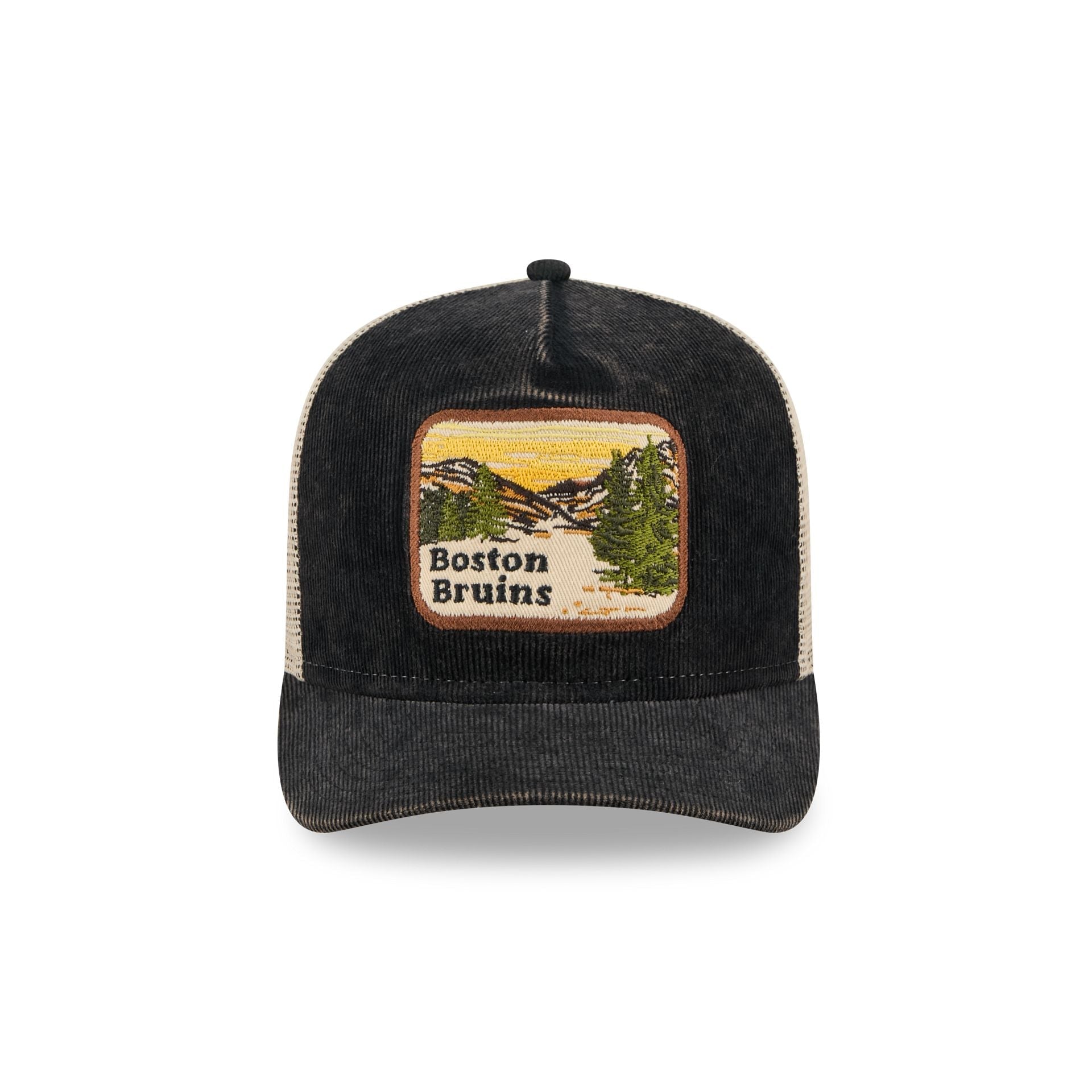 Boston Bruins Vintage Landscape 9FIFTY A-Frame Trucker Hat