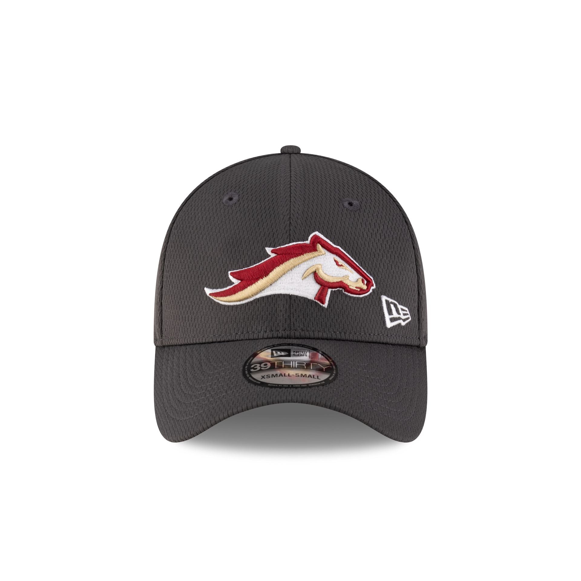 Birmingham Stallions Gray 39THIRTY Stretch Fit Hat