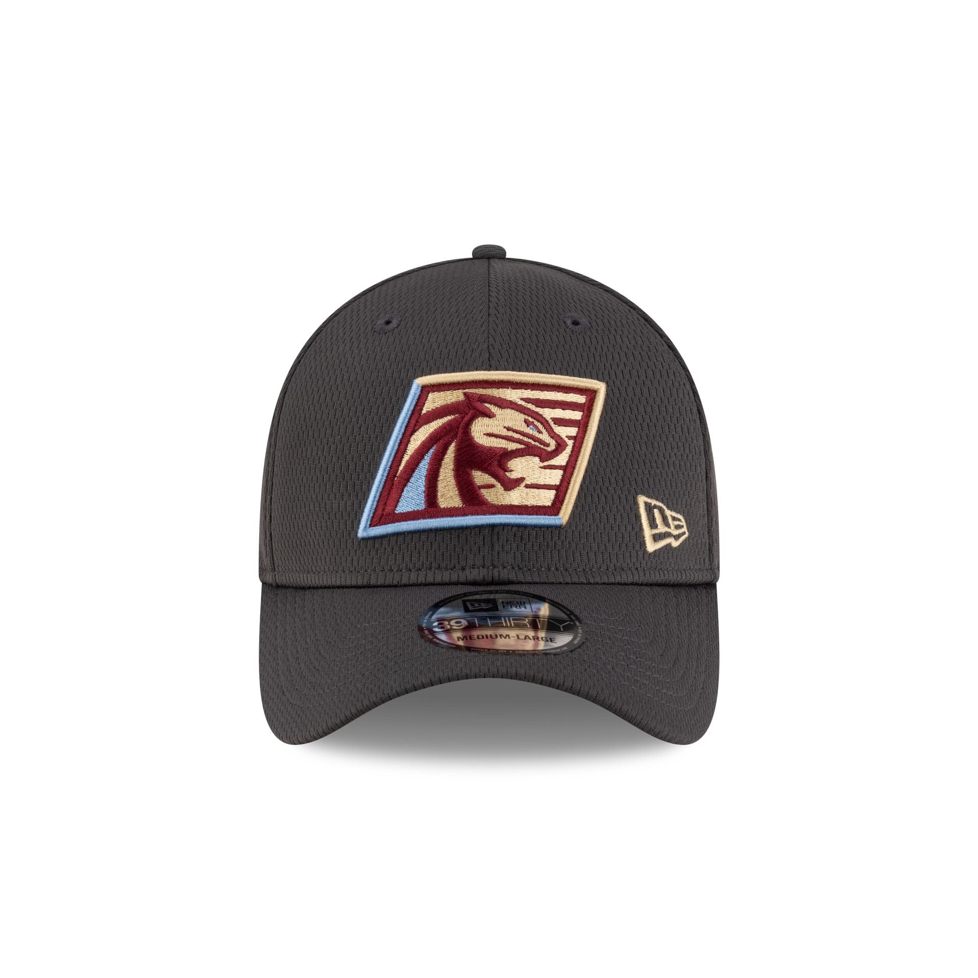Michigan Panthers Gray 39THIRTY Stretch Fit Hat