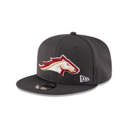 Birmingham Stallions Gray 9FIFTY Snapback Hat