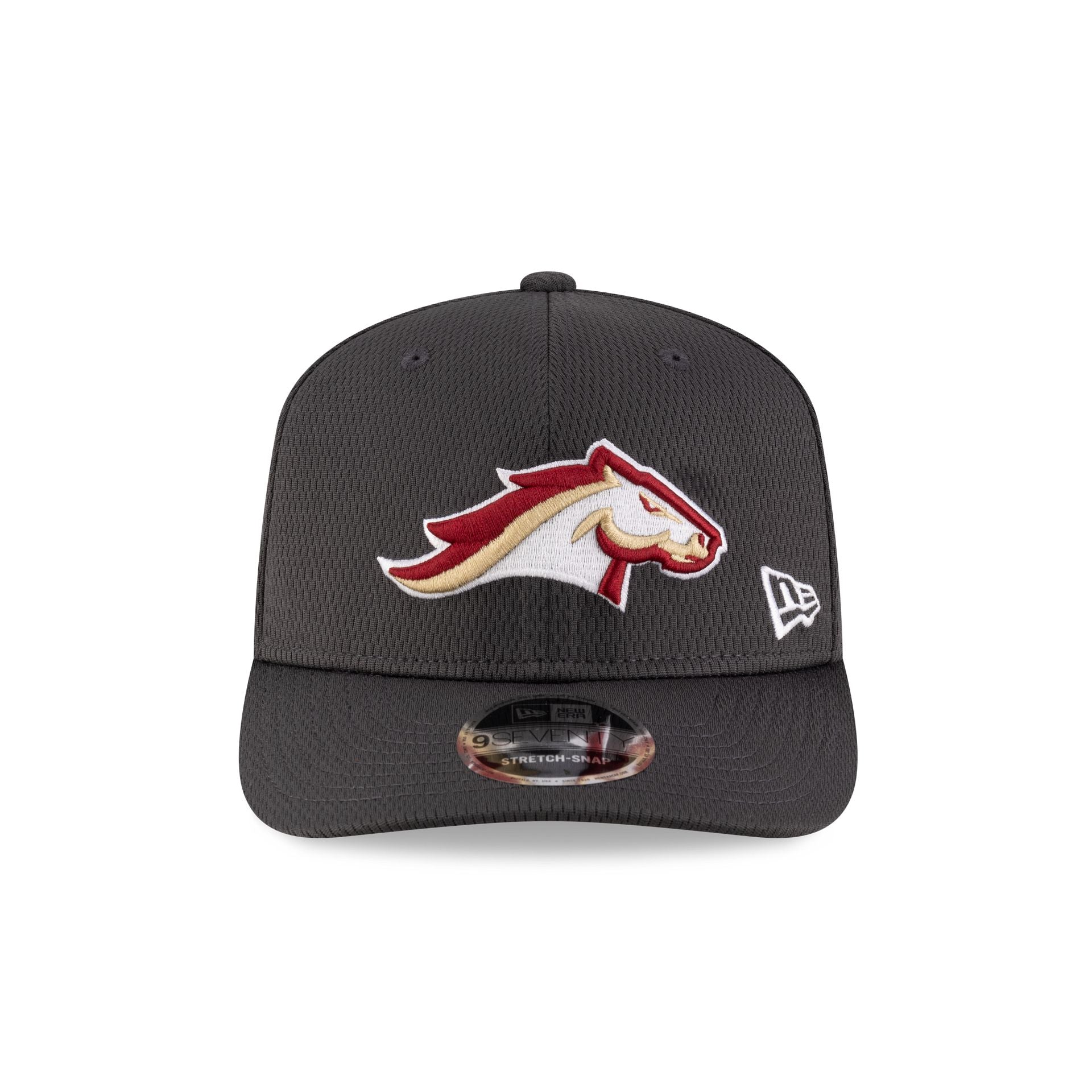 Birmingham Stallions Gray 9SEVENTY Stretch-Snap Hat