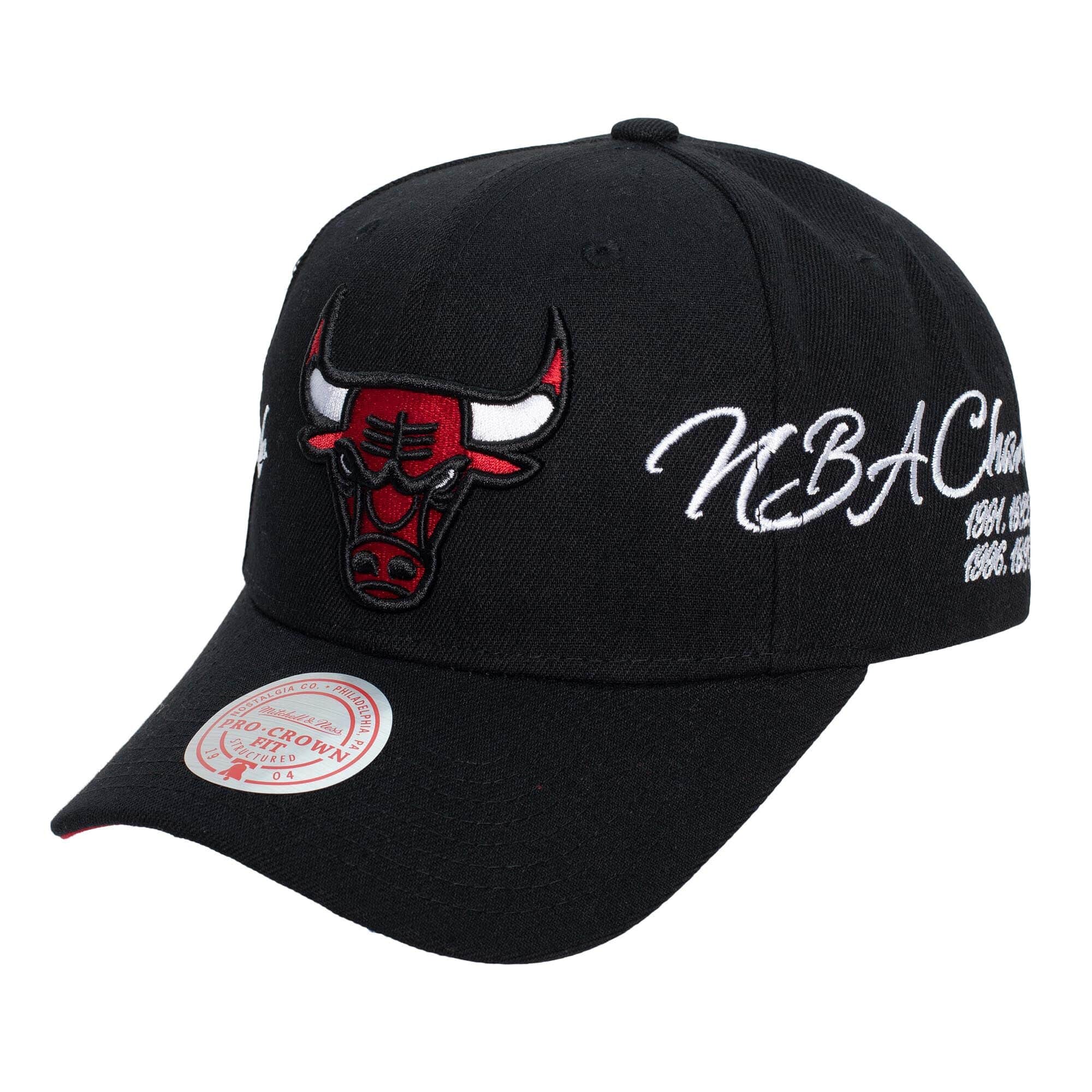 Chicago Bulls Champ Wrap Pro Snapback