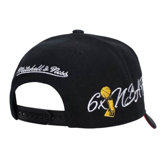 Chicago Bulls Champ Wrap Pro Snapback