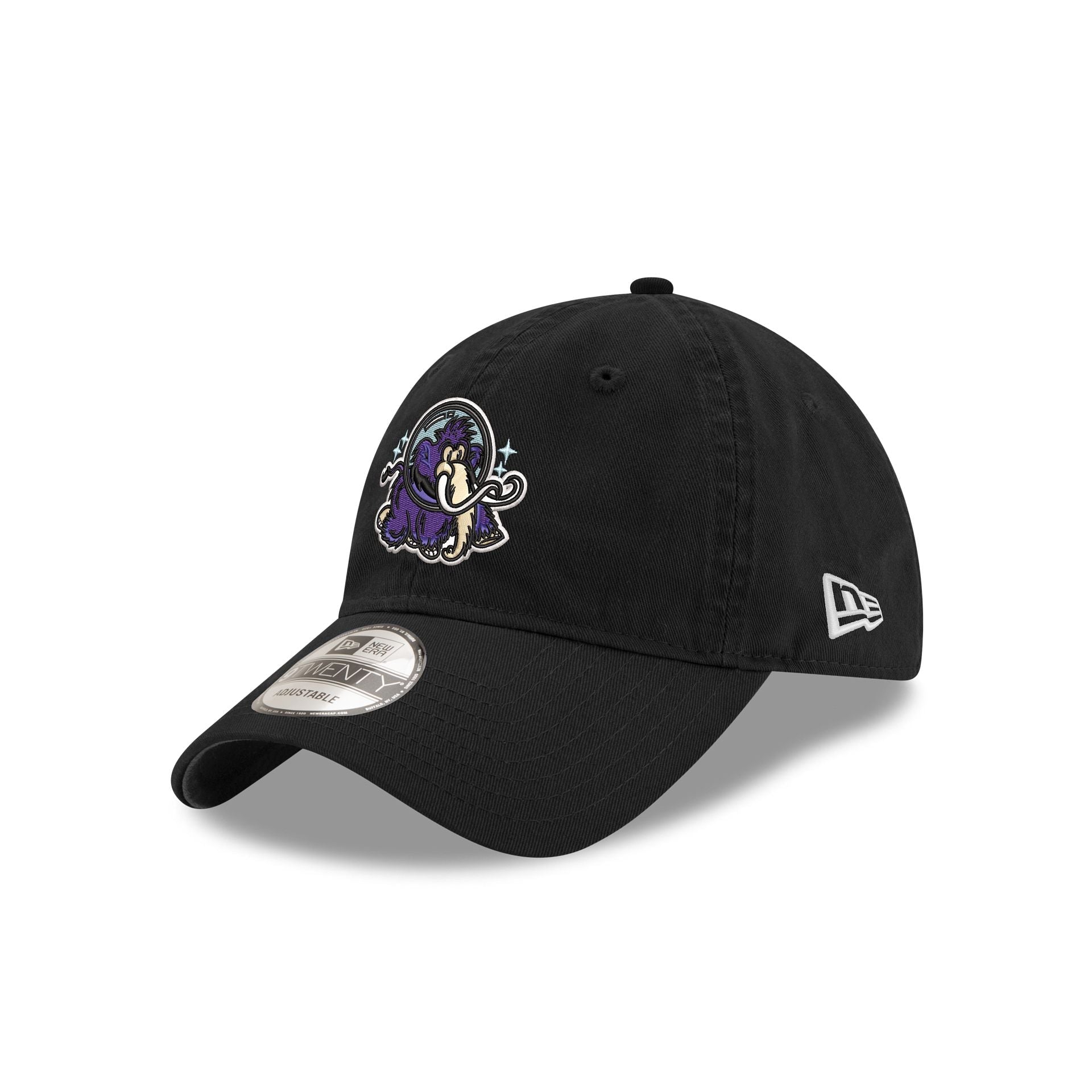 Erie Moon Mammoths 9TWENTY Adjustable Hat