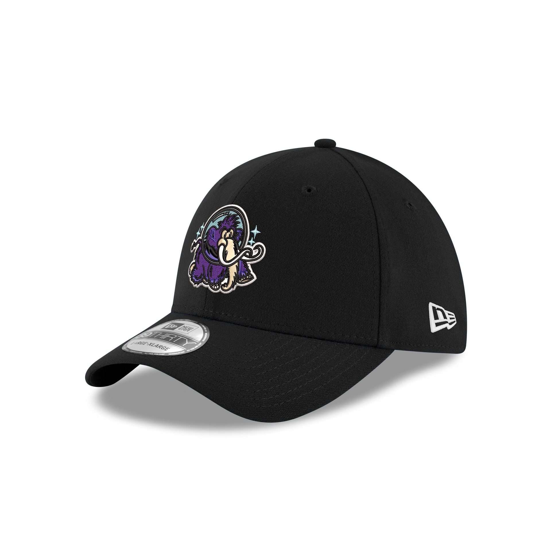 Erie Moon Mammoths 39THIRTY Stretch Fit Hat