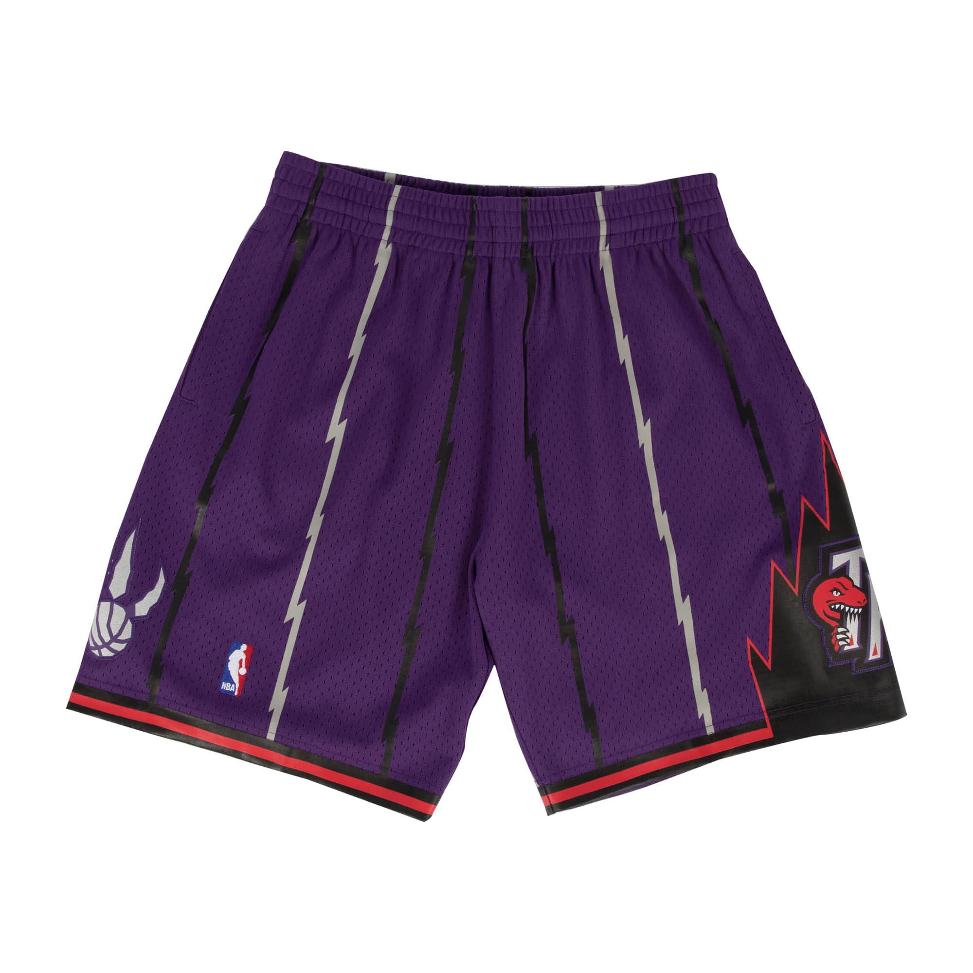 Toronto Raptors Purple Striped Shorts