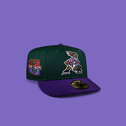 Tucson Roadrunners Green and Purple Hockey
