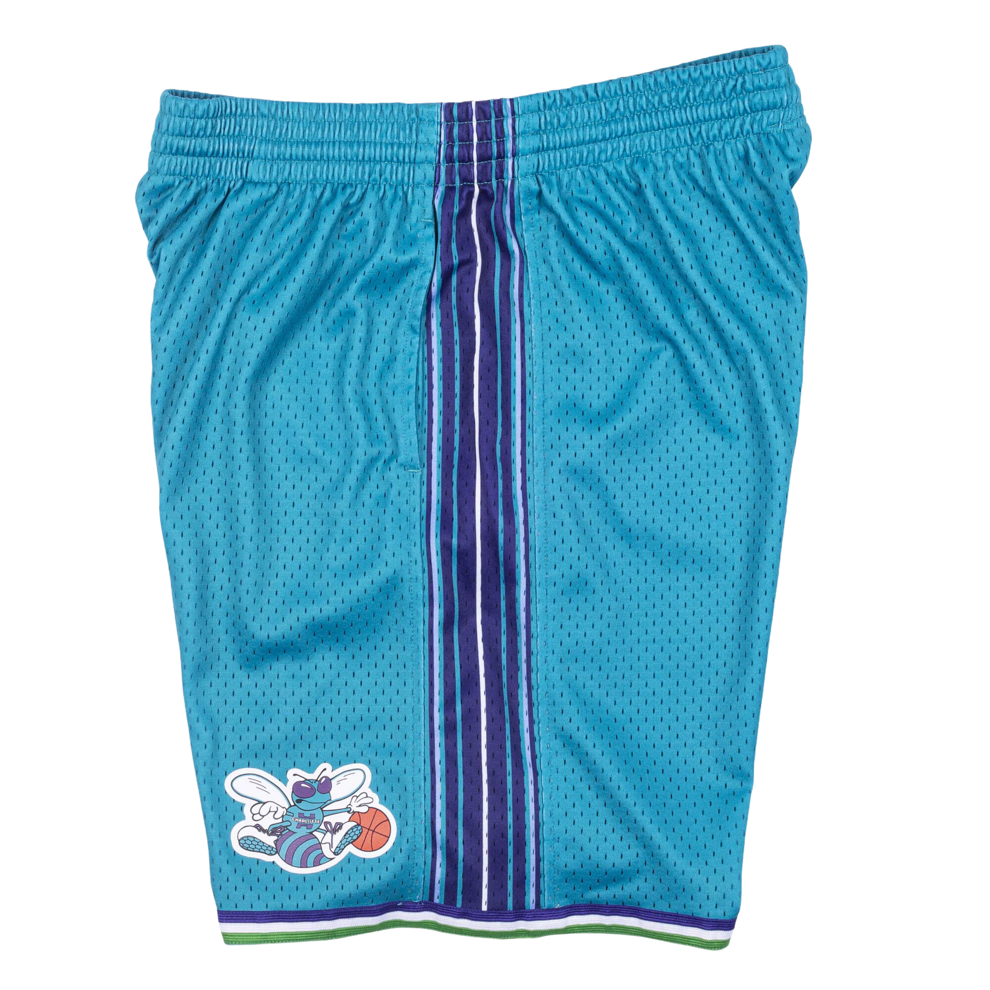 Charlotte Hornets Teal & Purple Shorts