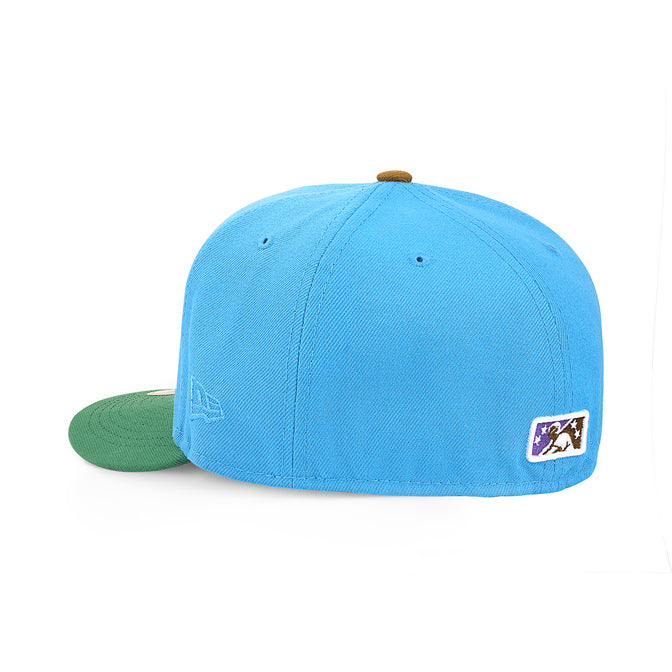Shreveport Swamp Dragons Blue and Green