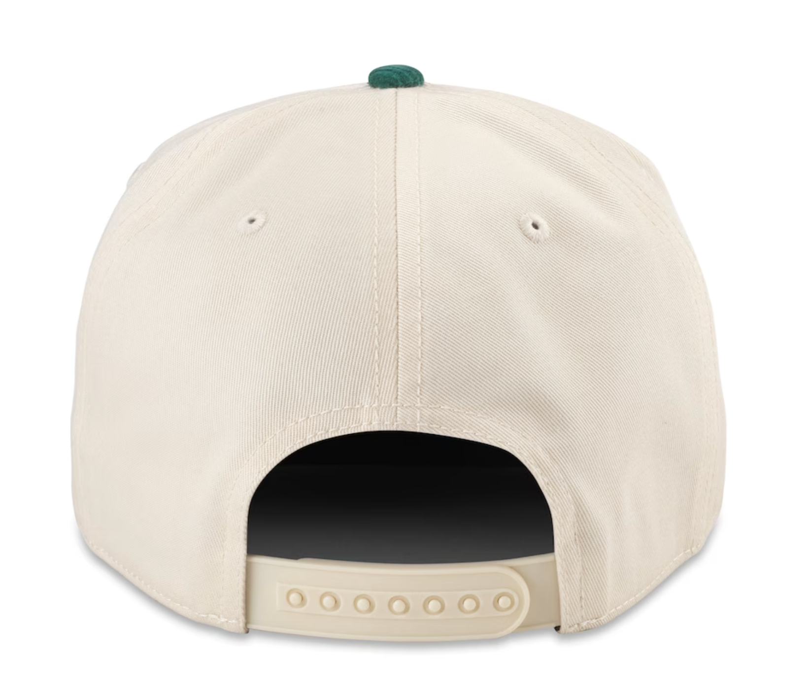 Minnesota Wild Burnett and Green Snap Back
