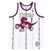 Toronto Raptors 98-99 McGrady Jersey