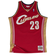 Cleveland Cavaliers RD 03-04 James Jersey